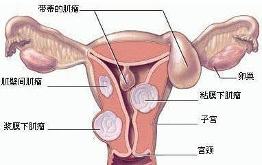 第372页